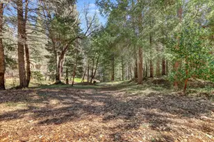 11793 Coyote Ct, Nevada City, CA 95959 - Photo 73