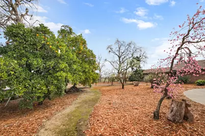38385 Larue Way, Davis, CA 95616 - Photo 55