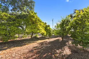 38385 Larue Way, Davis, CA 95616 - Photo 71