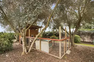 38385 Larue Way, Davis, CA 95616 - Photo 69