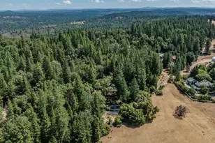 19630 Charleston Rd, Volcano, CA 95687 - Photo 69