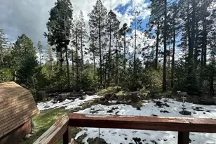 24889 State Hwy 108, Mi Wuk Village, CA 95346 - Photo 11