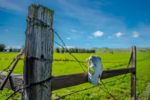 12076 County Rd 84A, Capay, CA 95607 - Photo 43