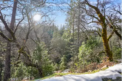 1191 Barney Way, West Point, CA 95255 - Photo 7