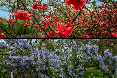 11365 Shadow Lane, Browns Valley, CA 95918 - Photo 39
