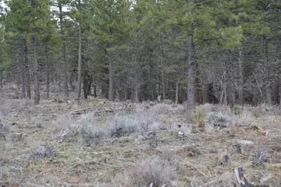 0 Old State Hwy, Macdoel, CA 96058 - Photo 17