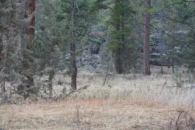 0 Old State Hwy, Macdoel, CA 96058 - Photo 5