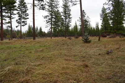 0 Old State Hwy, Macdoel, CA 96058 - Photo 13