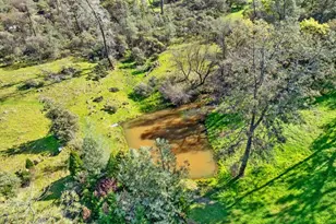 16035 Running Springs Rd, Grass Valley, CA 95949 - Photo 77