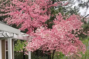 15326 Stinson Dr, Grass Valley, CA 95949 - Photo 27