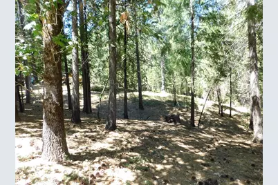 2059 Winton Road, West Point, CA 95255 - Photo 75