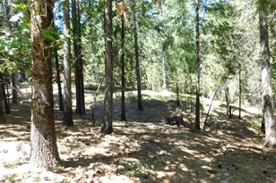 2059 Winton Rd, West Point, CA 95255 - Photo 75