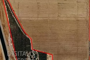 4060 Orestimba Rd, Newman, CA 95360 - Photo 47