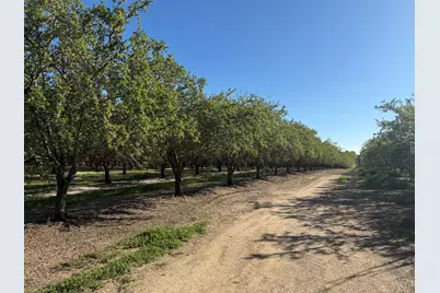 4060 Orestimba Road, Newman, CA 95360 - Photo 41