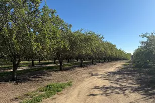 4060 Orestimba Rd, Newman, CA 95360 - Photo 41