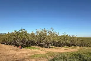 4060 Orestimba Rd, Newman, CA 95360 - Photo 39