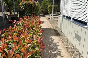 Rimma Way, Roseville, CA 95661 - Photo 37