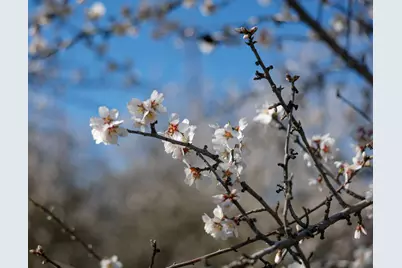 0 Horseshoe Road, Oakdale, CA 95361 - Photo 17