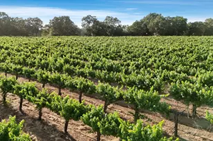 18050 N Tretheway Rd, Lockeford, CA 95237 - Photo 3