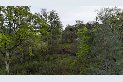 8601 Riverview Terrace, Smartsville, CA 95977 - Photo 7