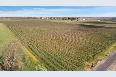 4923 W Acampo Road, Lodi, CA 95242 - Photo 15