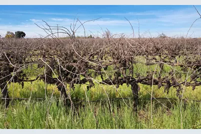 4923 W Acampo Road, Lodi, CA 95242 - Photo 17
