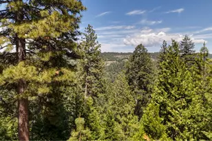 4685 Pinta Ct, Camino, CA 95709 - Photo 27