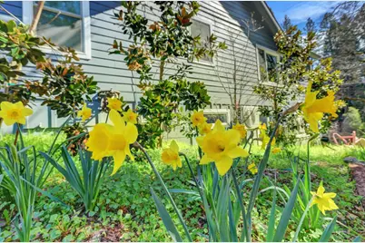 233 Bridge Street #A, Nevada City, CA 95959 - Photo 59