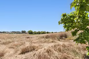 2446 Village Dr, Ione, CA 95640 - Photo 39