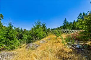 5500 Rancho Sequoia Dr, Alderpoint, CA 95511 - Photo 19
