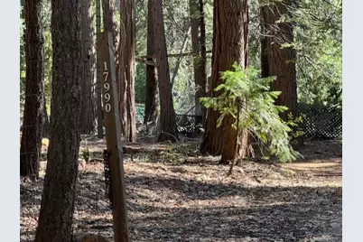 17970 Foxfire Way, Nevada City, CA 95959 - Photo 17
