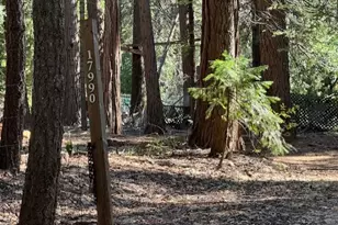 17970 Foxfire Way, Nevada City, CA 95959 - Photo 17