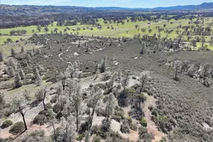 480 Co Rd 306, Elk Creek, CA 95939 - Photo 45