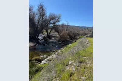 480 County Road 306, Elk Creek, CA 95939 - Photo 83