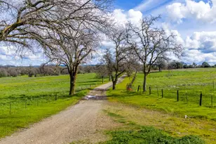 4873 Gladding Rd, Lincoln, CA 95648 - Photo 5