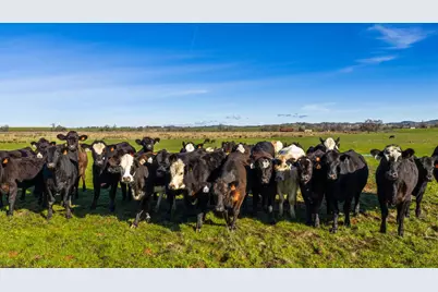 4873 Gladding Road, Lincoln, CA 95648 - Photo 3