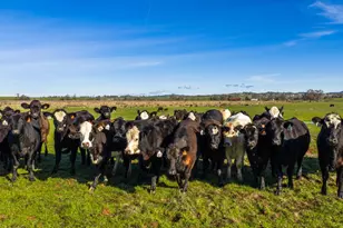 4873 Gladding Rd, Lincoln, CA 95648 - Photo 3