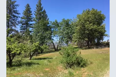 7495 Doster Road, Mountain Ranch, CA 95246 - Photo 7