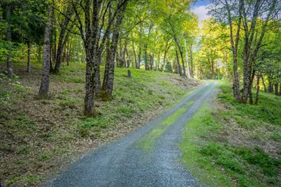 14437 Lightning Tree Road, Nevada City, CA 95959 - Photo 5