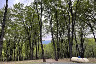 14437 Lightning Tree Rd, Nevada City, CA 95959 - Photo 7