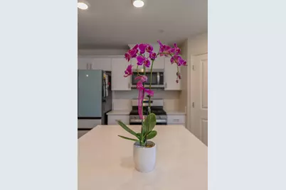 433 Stein Way, Waterford, CA 95386 - Photo 15