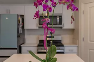 433 Stein Way, Waterford, CA 95386 - Photo 15