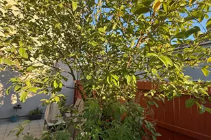 3742 Bayou Rd, Sacramento, CA 95835 - Photo 27