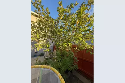 3742 Bayou Road, Sacramento, CA 95835 - Photo 31