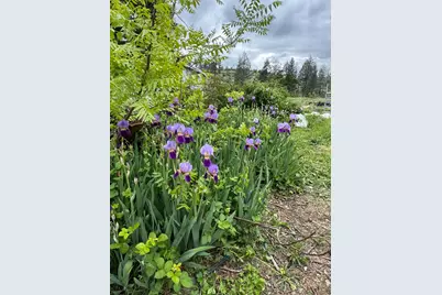 3738 Pinkston Canyon, Oroville, CA 95965 - Photo 17