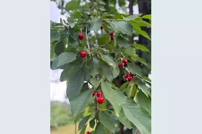 3738 Pinkston Canyon, Oroville, CA 95965 - Photo 15