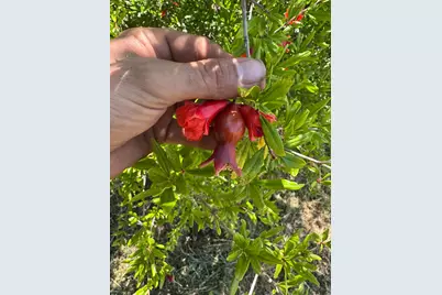 3738 Pinkston Canyon, Oroville, CA 95965 - Photo 13