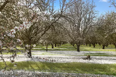 3320 W Durham Ferry Road, Tracy, CA 95304 - Photo 77