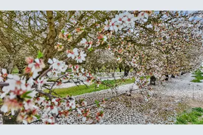 3320 W Durham Ferry Road, Tracy, CA 95304 - Photo 75