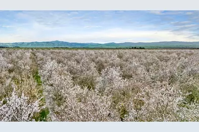 3320 W Durham Ferry Road, Tracy, CA 95304 - Photo 71